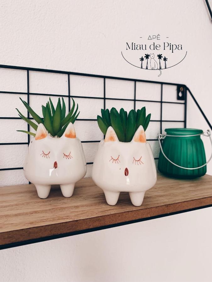 Miau De Pipa Lejlighed Praia de Pipa Eksteriør billede
